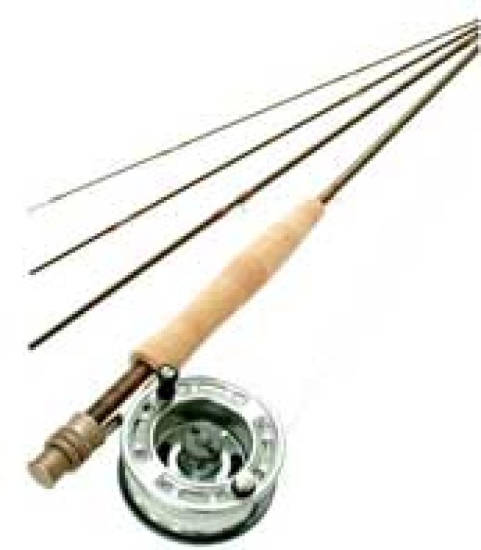 Tree Meadow Trout Fishery