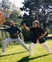 21st Century Tai Chi Club