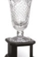 Challenger Trophies & Awards