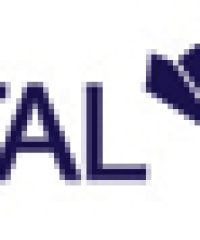 Crystal Cups Lifestyle