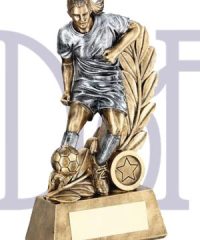 D & P Trophies Ltd