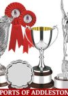 Sports Of Addlestone