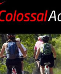 Colossal Activities