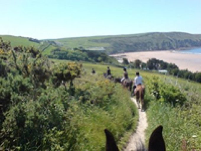 Roylands Stables