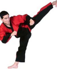 Precision Taekwondo