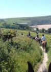Roylands Stables