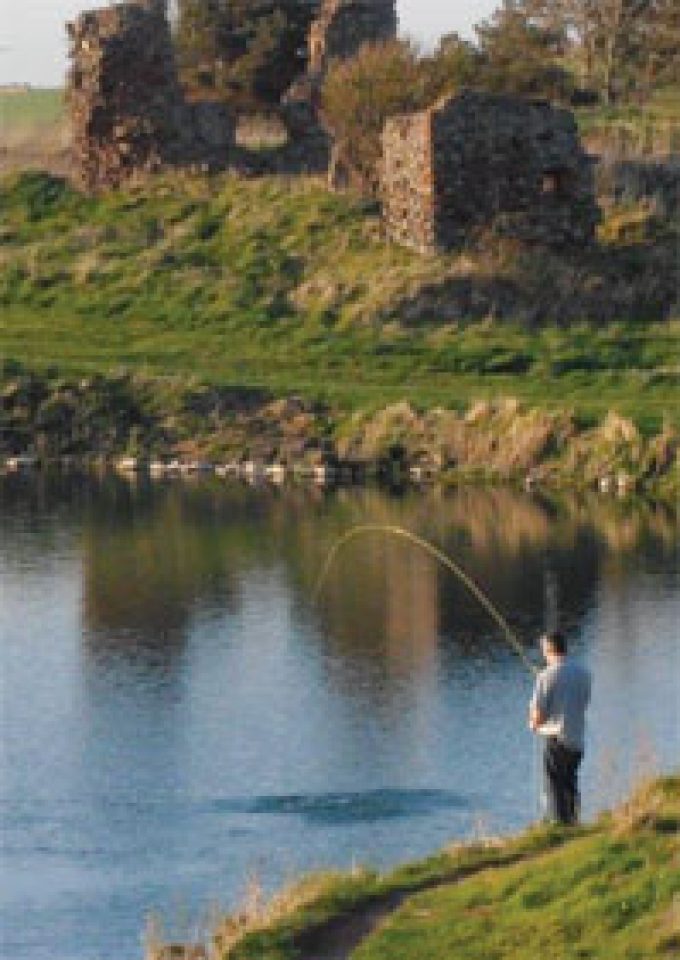 Markle Fisheries