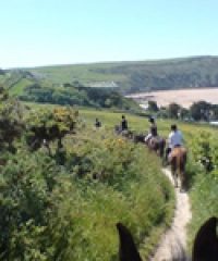 Roylands Stables